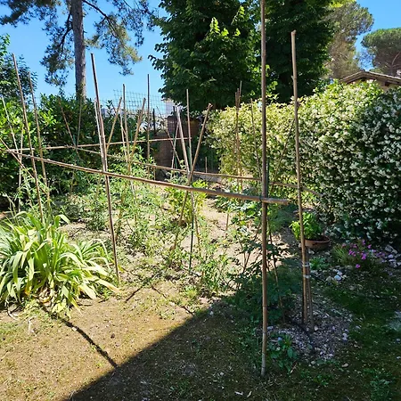 La Casa Di Bach
